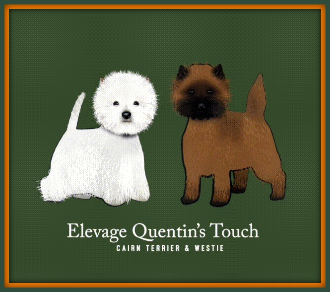 Quentin's Touch Avant toi